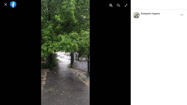На Алтуфьевском шоссе ветки деревьев мешают проходу пешеходов