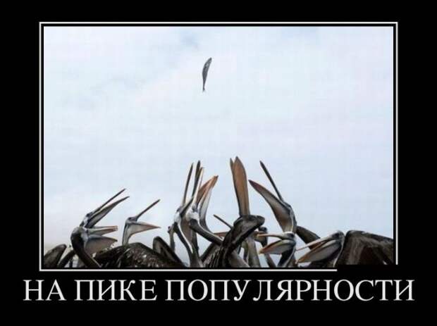 Демотиваторы (30 фото)