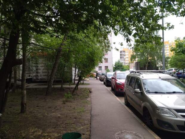 «Жилищник» оперативно убрал упавшее дерево на улице Авиаконструктора Миля