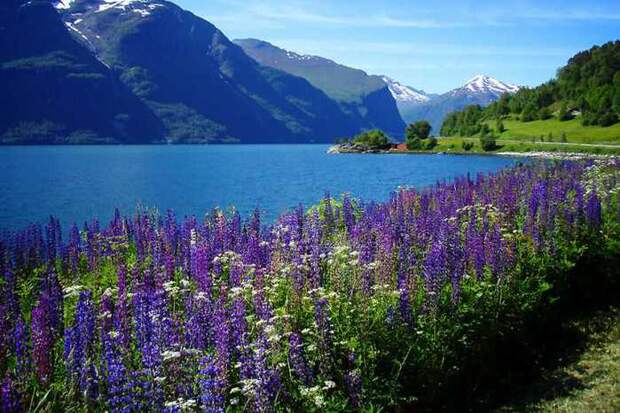 1340129326_0_9a626_b9cb9d29_xxl (700x466, 52Kb)