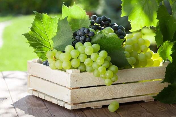 Ящик с виноградом