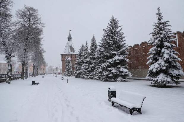 Без осадков и до -24 градусов: синоптик Ильин рассказал о погоде в Тульской области в выходные