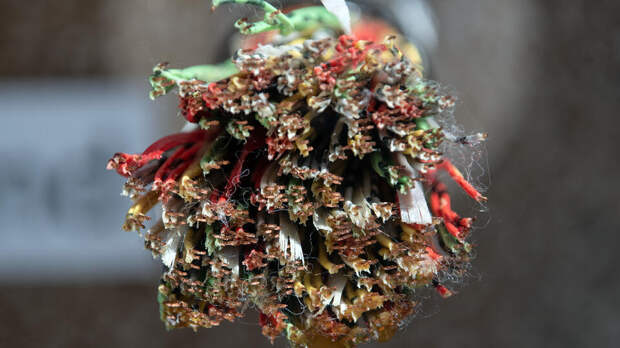 В России может развернуться масштабное строительство телекоммуникаций