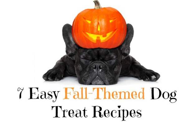 7 Easy Fall-Themed Dog Treat Recipes