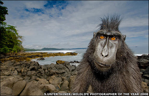 Просто Фото