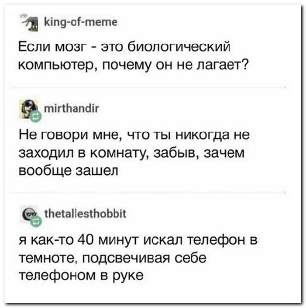 Выдумщики и остряки снова штурмуют комментарии в соцсетях Выдумщики и остряки снова штурмуют комментарии в соцсетях