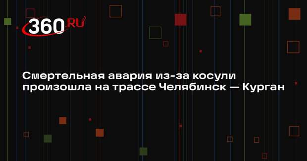 Смертельная авария из-за косули произошла на трассе Челябинск — Курган