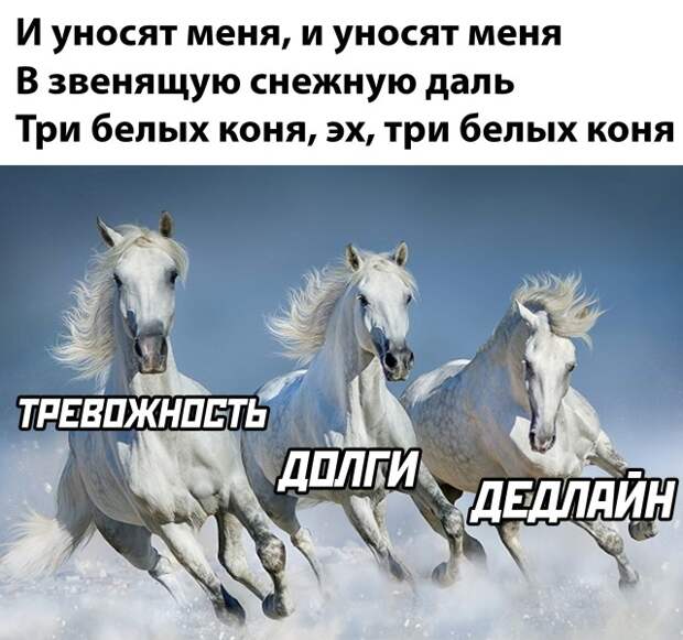 Смешные картинки 17 декабря 2021 года