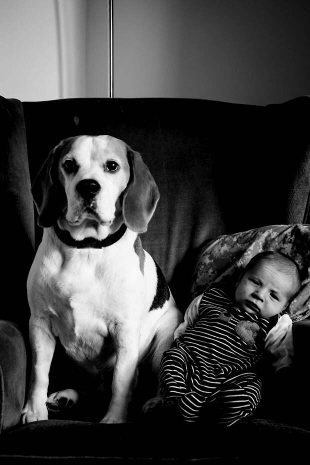 1 месяц взросление, изменение, собака, собака - друг человека, фотограф, фотопроект