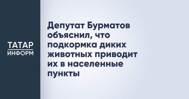 Депутат Бурматов объяснил, что подкормка диких животных приводит их в населенные пункты