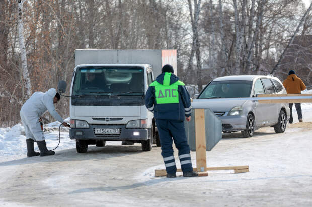 Названа причина вспышек пастереллеза у скота в Новосибирской области