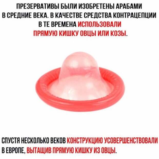 Свежие фотомемы на Бугаге (24 шт)