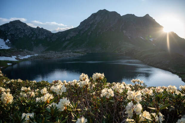 1000005134.jpg 1000005134.jpg