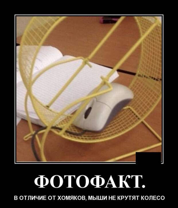 Демотиваторы (30 фото)