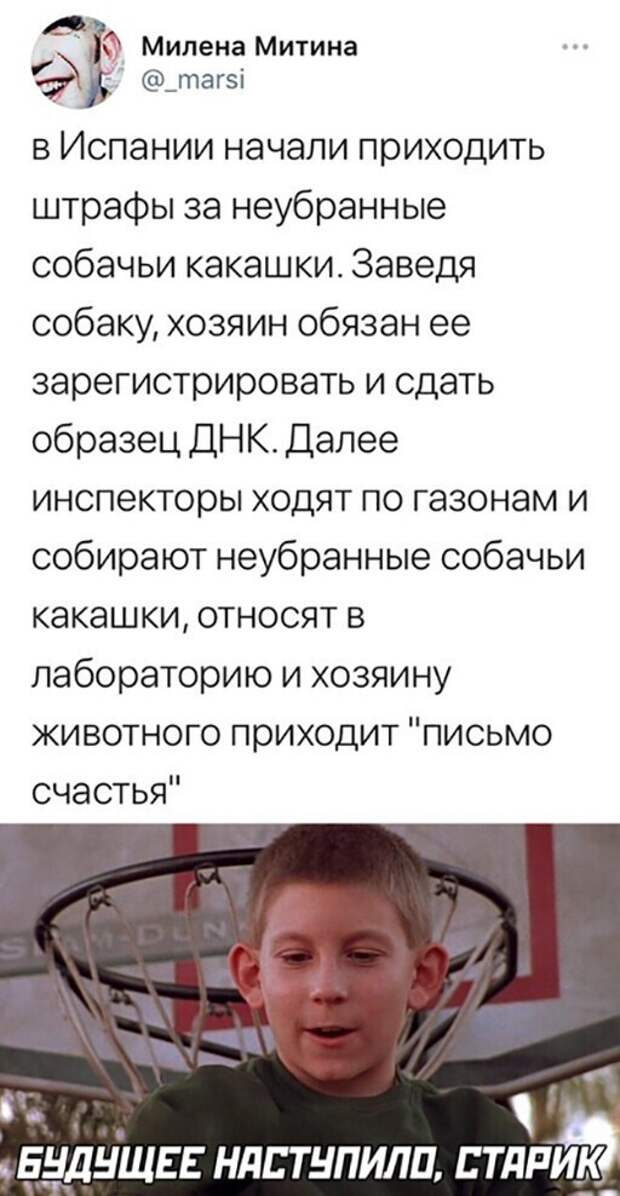 Смешные и познавательные картинки
