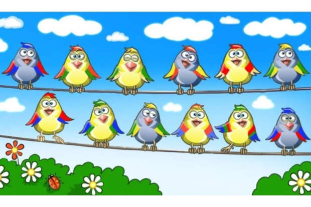 Две птицы-близняшки за 18 секунд: тест на внимательность