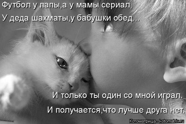 Лучшие котоматрицы недели