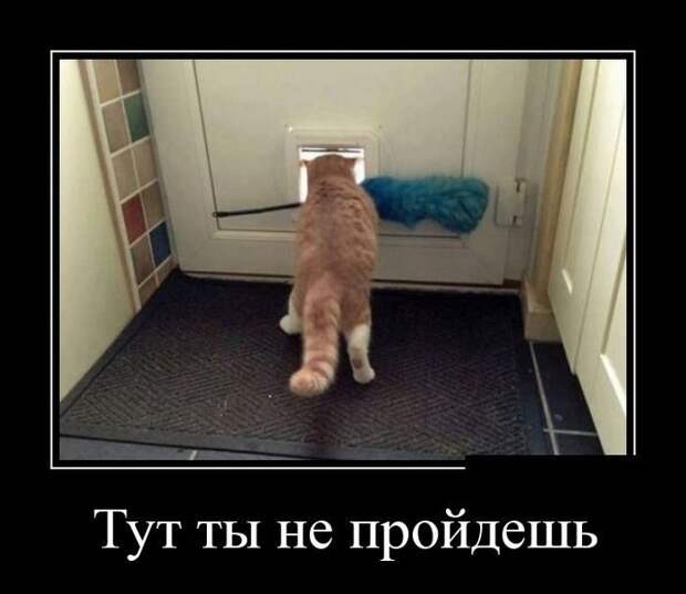 Прикольные демотиваторы