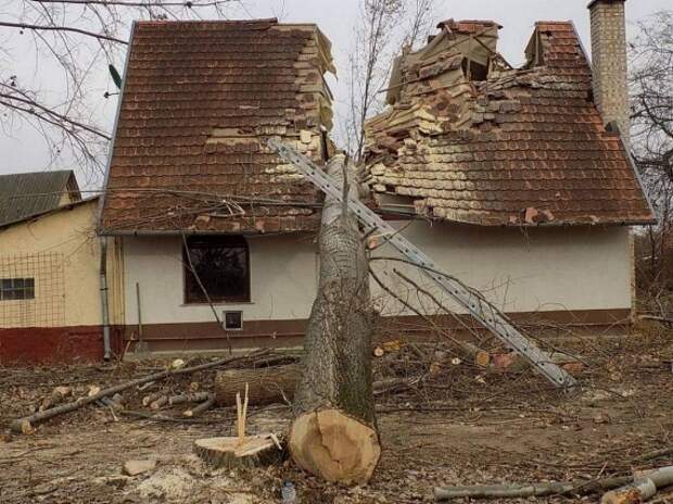 1581442003_nepriyatnosti-sluchayutsya-18.jpg