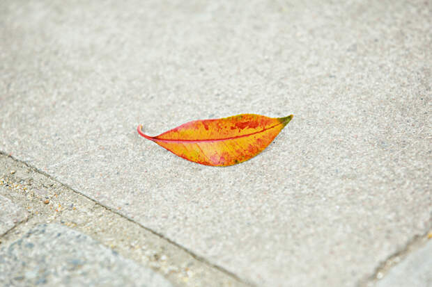 matt-stuart-fubiz-7.jpg matt-stuart-fubiz-7.jpg