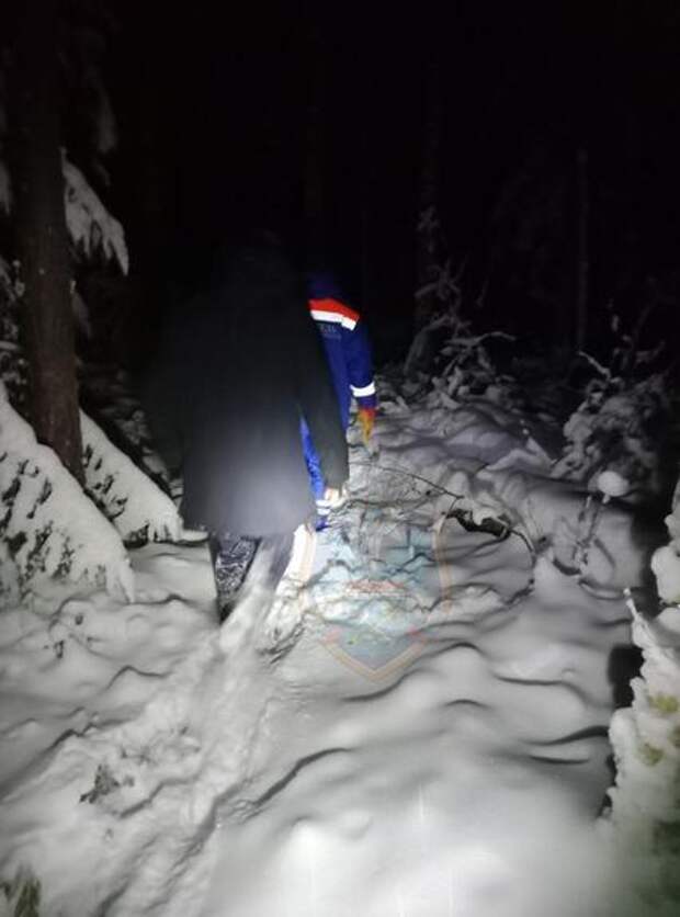 Спасатели вывели заблудившегося мужчину из леса в Кировском районе