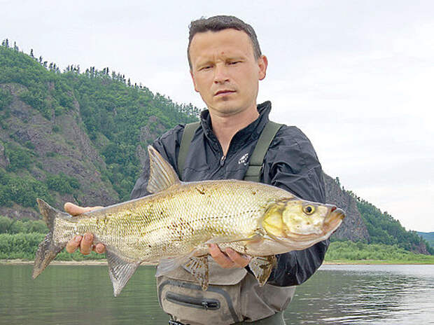 Фото: Алексей Потехин. 