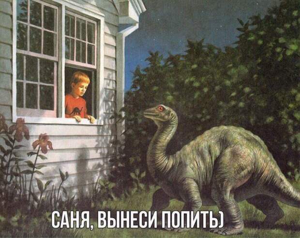 Ржачные картинки с надписями для веселья (11 фото) Ржачные картинки с надписями для веселья (11 фото)