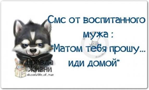 Прикольные "правдивости"
