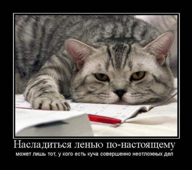 Всячина...