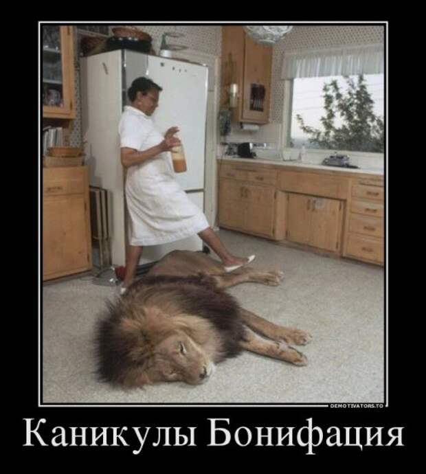 Сборник демотиваторов (17 шт)