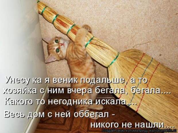 Свежая котоматрица для всех (44 фото)