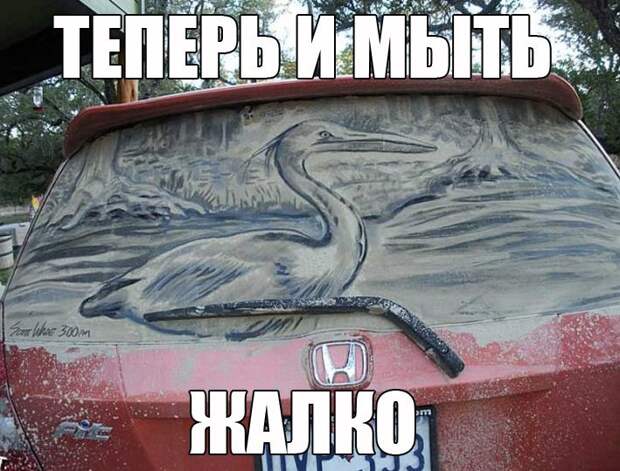смешные картинки с надписями