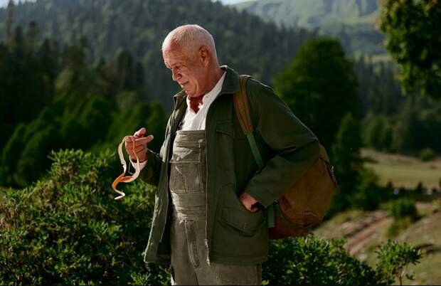 Фильм «Чебурашка‑2» вызвал дискуссию среди депутатов Госдумы