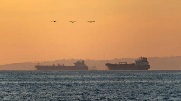 Нокаут мировой торговли: эпоха свободных морей прошла навсегда – WSJ