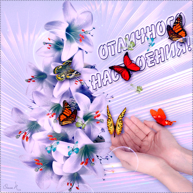 Привет люба. Открытки с пожеланиями. Открытки добрый день с бабочками. Яркого дня и хорошего настроения. Красивые открытки на каждый день.