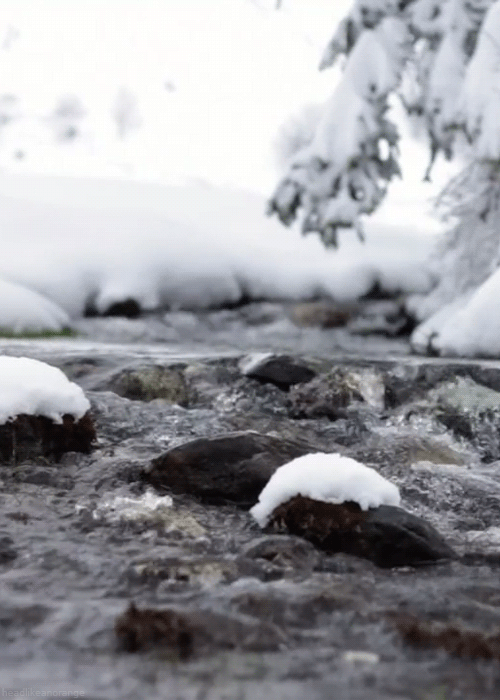 19 Songs That Will Make You Feel Like You're Outdoors