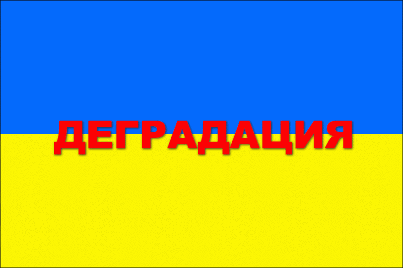 Тотальная могилизация и прочие дискриминационные инициативы киевской власти превращают Украину в доиндустриальную провинцию. Об...