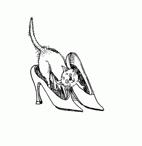 Правила хорошего кота коте, коты, котэ