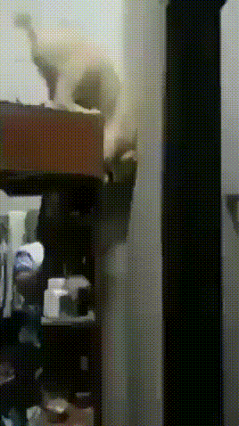 Грациозно:) Грациозно:)