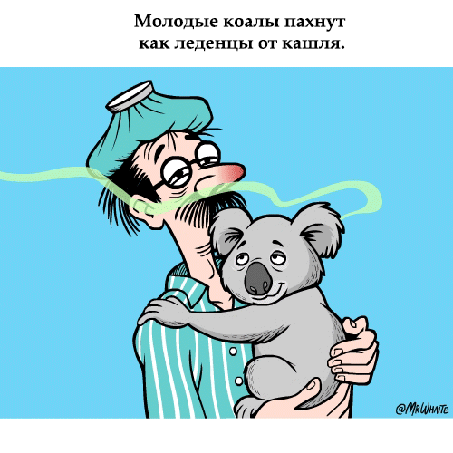 gifkah-zoologiya-zanimatelnaya-eto-interesno-poznavatelno-kartinki gifkah-zoologiya-zanimatelnaya-eto-interesno-poznavatelno-kartinki
