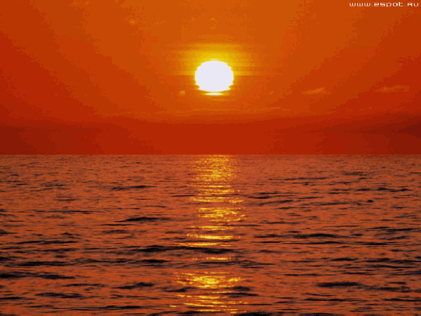 http://img0.liveinternet.ru/images/attach/c/0/40/321/40321649_1235774012_25360007_more_03.gif