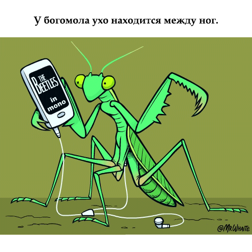 gifkah-zoologiya-zanimatelnaya-eto-interesno-poznavatelno-kartinki gifkah-zoologiya-zanimatelnaya-eto-interesno-poznavatelno-kartinki