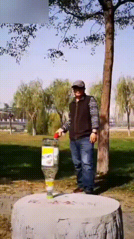 О, господи, да это же крутейшие ребята