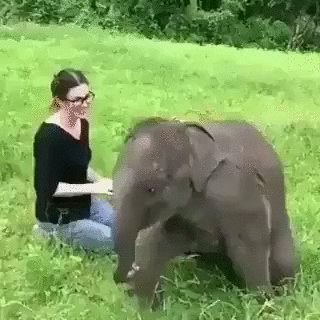 Маманя!!!