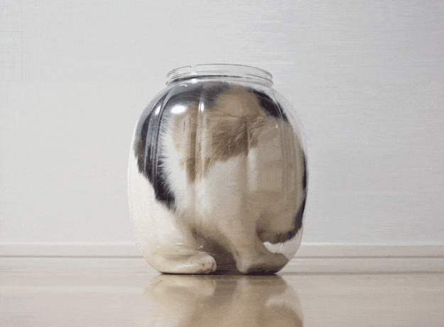 spin
