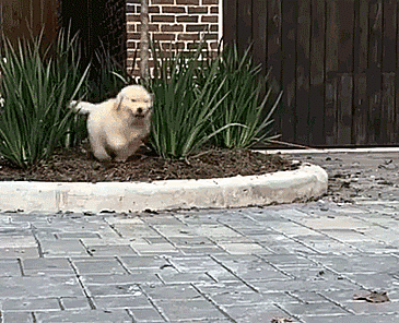 Running From Monday Like...