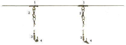 Методы крепления поводков к основной леске и оснащения крючков