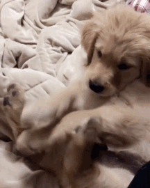 I Think He Just Discovered His Toes