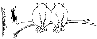 4229746_funnyowlanimation (316x127, 33Kb)