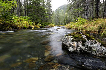 pristine river